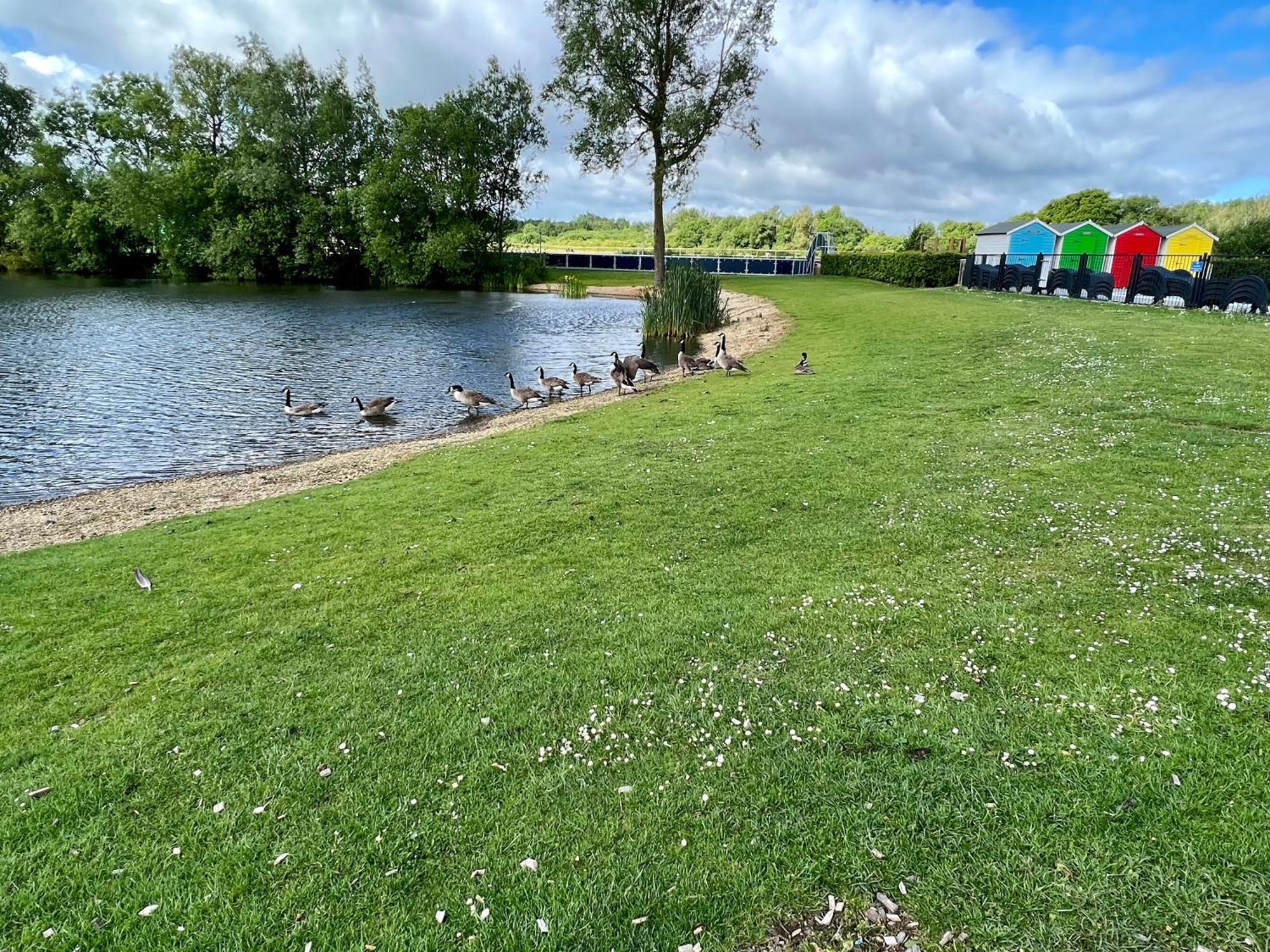 Bluebell Lodge, Dog Friendly South Cerney Extérieur photo
